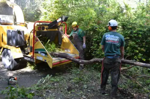 tree services Helena